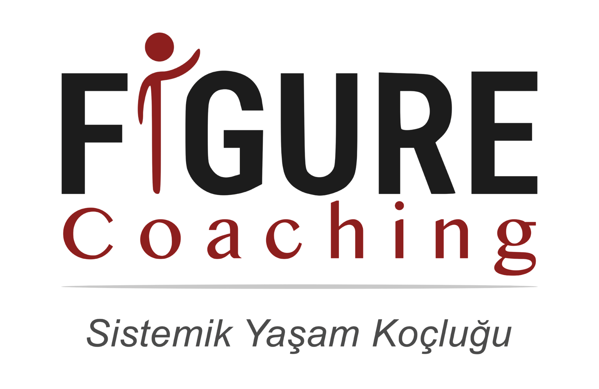 Figure Coaching — Sistemik Yaşam Koçluğu